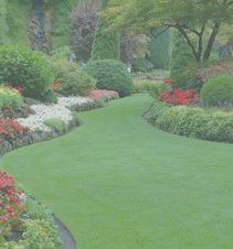 轰炸手机号码软件